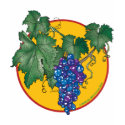 Blue grapes shirt F/B