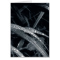 Blue grass cards by Boogybunny Blue grass cards