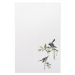 Blue-gray Gnatcatcher, John Audubon Stationery Paper