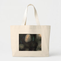 Blue-green Chromis (Chromis viridis) Bags