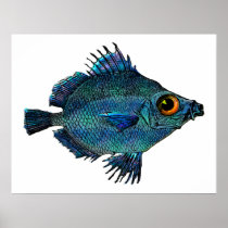 Blue Green Fantasy Discus Posters