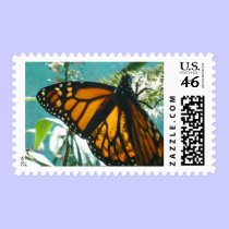 Blue Green Orange Stamp stamps
