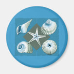 Blue & Green Sea Shells Refrigerator Magnets