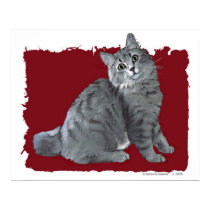 Blue/Grey Tabby Cat posters