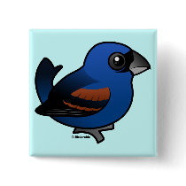 Blue Grosbeak