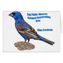 Blue Grosbeak Card