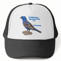 Blue Grosbeak Mesh Hats