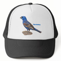 Blue Grosbeak Hats