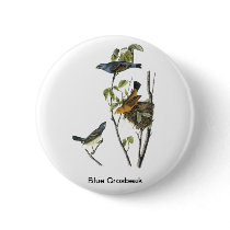 Blue Grosbeak John James Audubon Pinback Buttons
