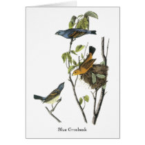 Blue Grosbeak John James Audubon Greeting Cards