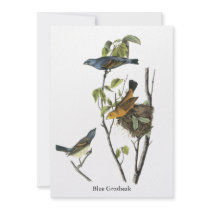 Blue Grosbeak John James Audubon Custom Invitation