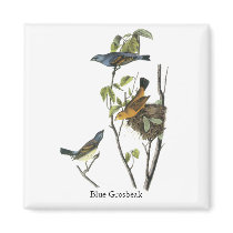 Blue Grosbeak John James Audubon Fridge Magnet