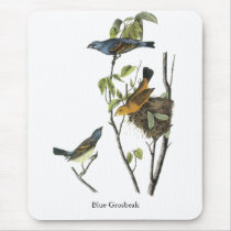 Blue Grosbeak John James Audubon Mouse Pad