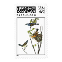 Blue Grosbeak John James Audubon Postage Stamp
