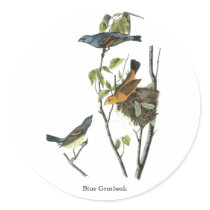 Blue Grosbeak John James Audubon Round Sticker