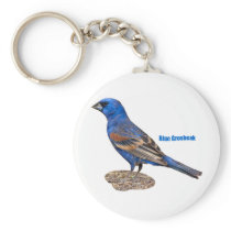 Blue Grosbeak Key Chain