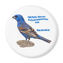 Blue Grosbeak Fridge Magnet