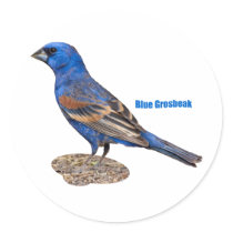 Blue Grosbeak Round Sticker