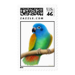 Blue Headed Pionus Parrot Postage