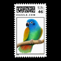 Blue Headed Pionus Parrot Postage postage