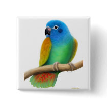 Blue Headed Pionus Pin