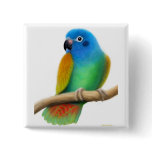 Blue Headed Pionus Pin