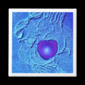 Blue Heart Magnet