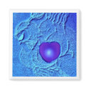 Blue Heart Magnet