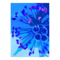 Blue heart of an hibiscus print by nefera Blue heart of an hibiscus print