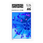 Blue heart of an hibiscus (stamp)