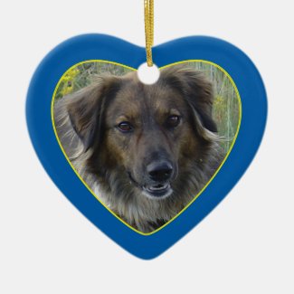 Blue Hearts Pet Memorial Photo Template