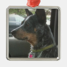 Blue heeler ornament