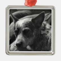 Blue Heeler Ornament