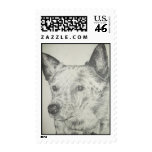 Blue Heeler Stamps