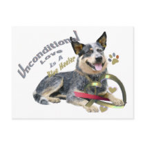 Blue Heeler Unconditional Love Postcards