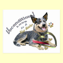 Blue Heeler Unconditional Love postcards