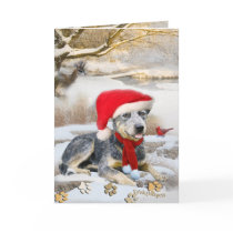 Blue Heeler winter Scene cards