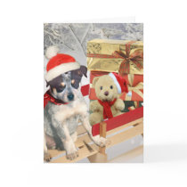 Blue Heeler winter Scene cards
