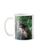 Blue Hen Mugs