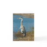 Blue Heron at Pond Card