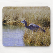 Blue Heron Awaiting Dinner mousepads