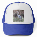 Blue Heron Bird Hat Blue Heron Bird Hat