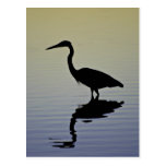 Blue Heron Bird Silhouette at Sunset Post Card