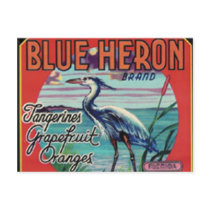 blue heron brand postcard