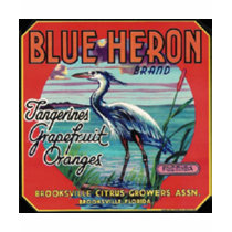 blue heron brand shirt