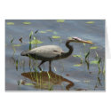 Blue Heron cards by angelspiritme Blue Heron cards