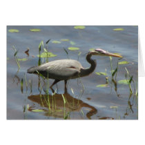Blue Heron cards by angelspiritme Blue Heron cards