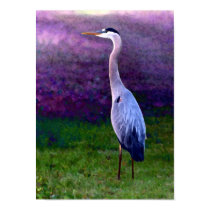 Blue Heron Collection posters