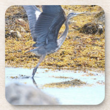 Blue Heron Drink Coaster