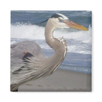 Blue Heron Magnet